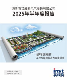 2025年半年度报告