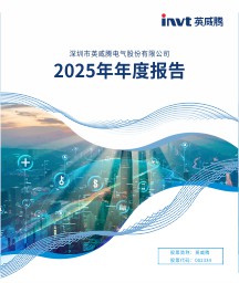 2025年年度报告